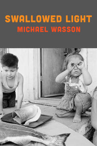 Book:  Swallowed Light - Poems by Michael Wasson