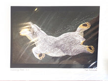 Load image into Gallery viewer, CAP Greeting Cards