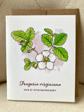 Load image into Gallery viewer, Cards:  Annie Brule