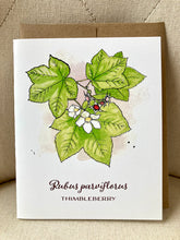 Load image into Gallery viewer, Cards:  Annie Brule